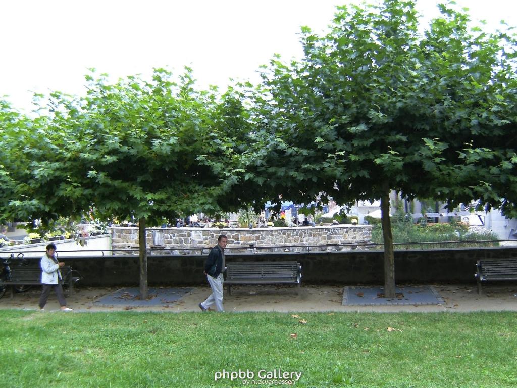 BILD0539