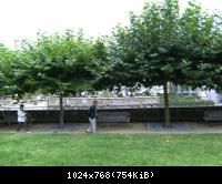 BILD0539