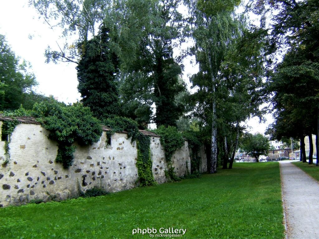 BILD0550