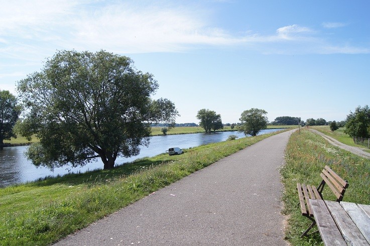 DSC00781