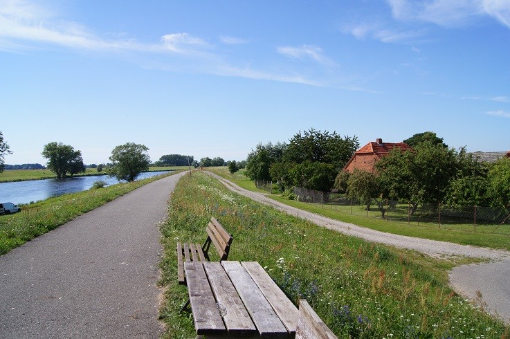 DSC00782