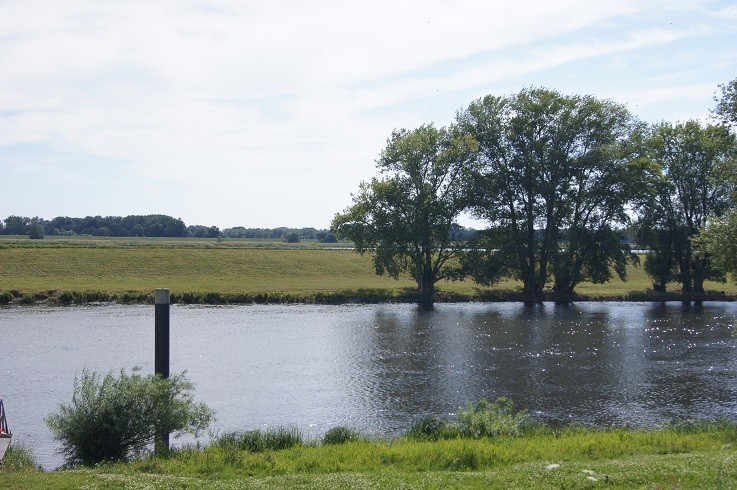 DSC00787