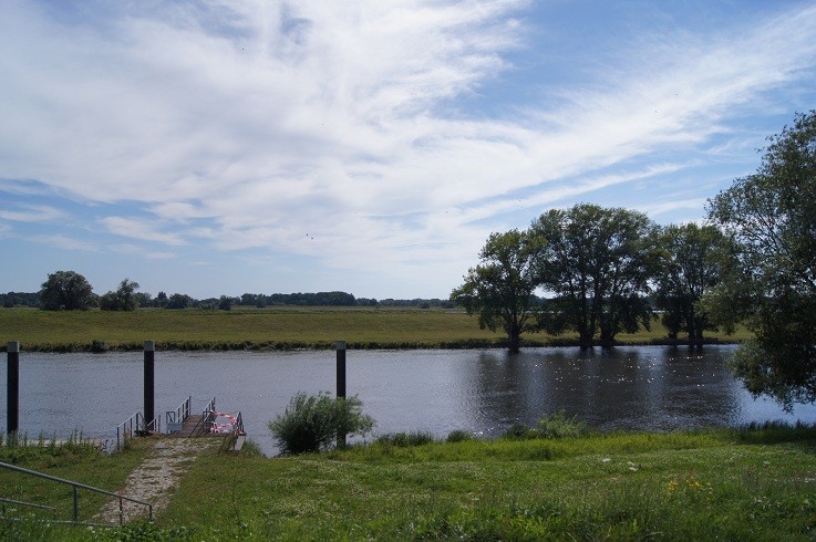 DSC00788