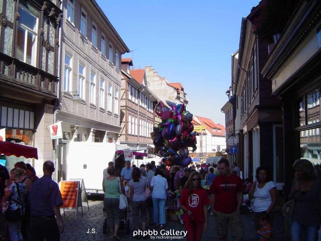Harz-Stadt Blankenburg (14)