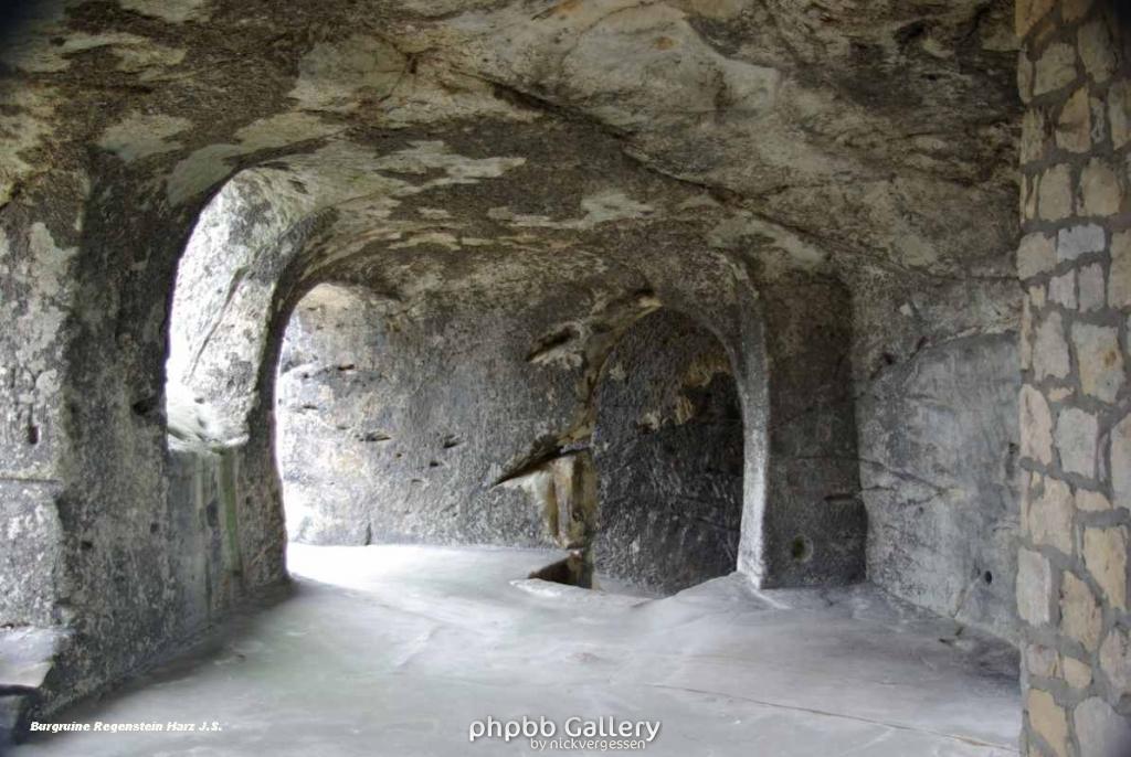 22.6.10 Burgruine Regenstein Harz-Blankenburg (22)