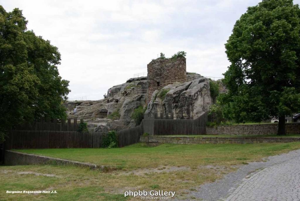 22.6.10 Burgruine Regenstein Harz-Blankenburg (29)