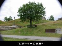 22.6.10 Burgruine Regenstein Harz-Blankenburg (38)