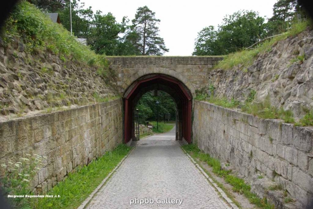 22.6.10 Burgruine Regenstein Harz-Blankenburg (40)