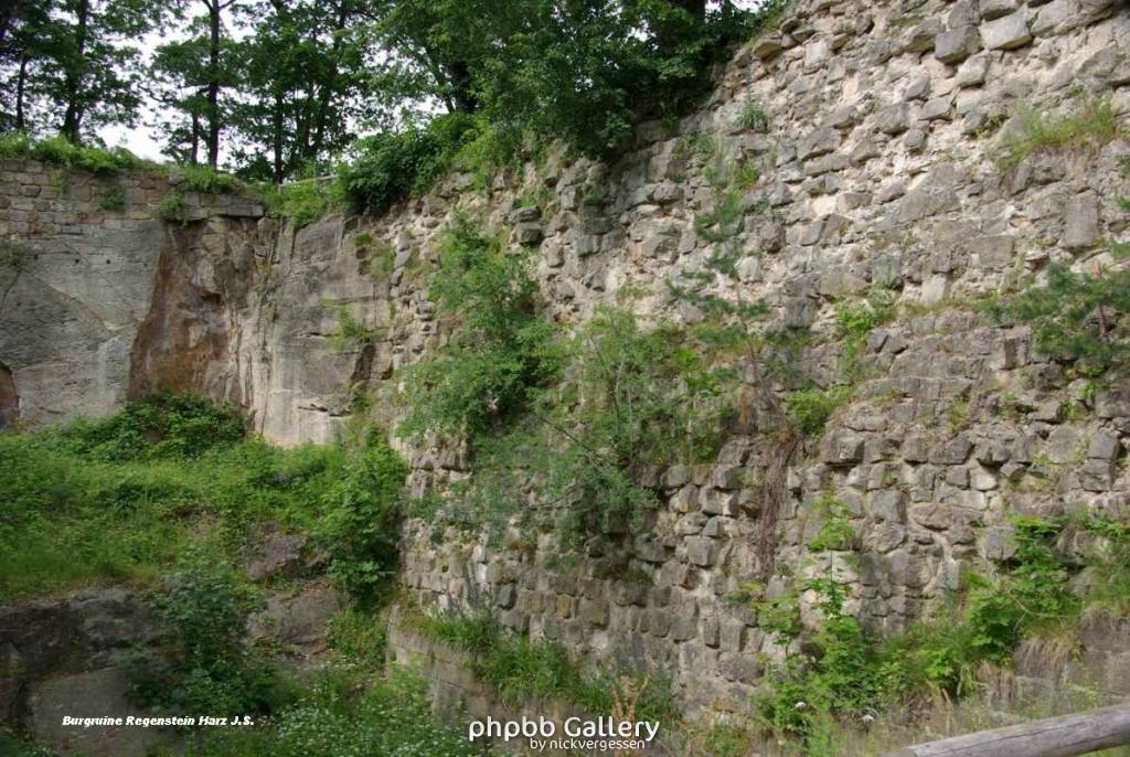 22.6.10 Burgruine Regenstein Harz-Blankenburg (42)