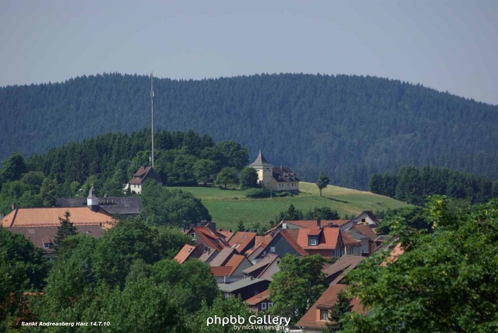 14.7.10 Sankt Andreasberg im Harz (1)