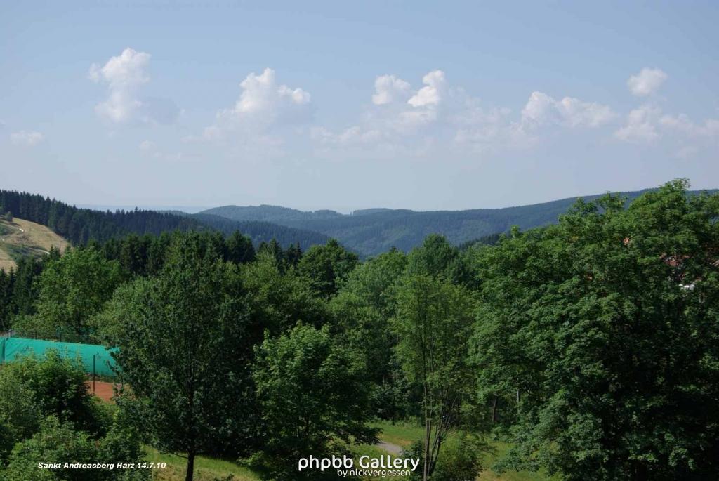 14.7.10 Sankt Andreasberg im Harz (3)