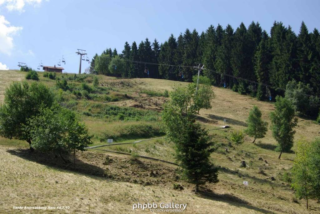 14.7.10 Sankt Andreasberg im Harz (8)