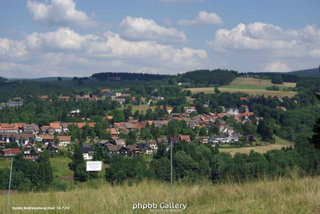 14.7.10 Sankt Andreasberg im Harz (13)