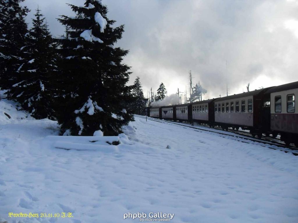 20.11.2010 Harz-Brocken (29)