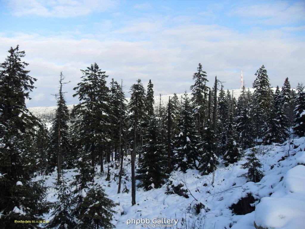 20.11.2010 Harz-Brocken (28)