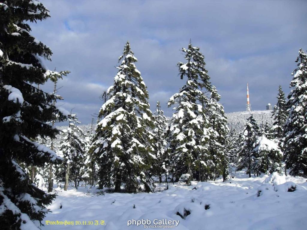 20.11.2010 Harz-Brocken (27)