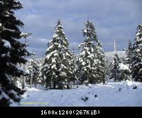 20.11.2010 Harz-Brocken (27)
