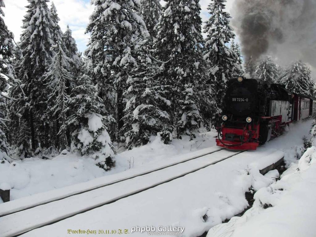 20.11.2010 Harz-Brocken (25)