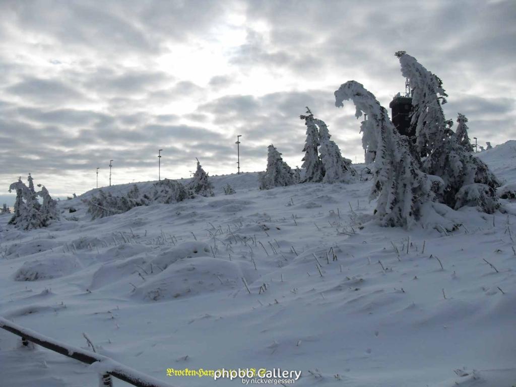 20.11.2010 Harz-Brocken (24)