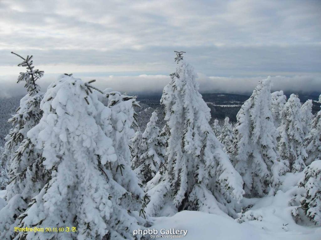 20.11.2010 Harz-Brocken (21)