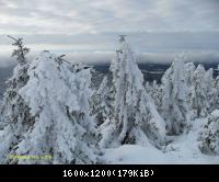 20.11.2010 Harz-Brocken (21)