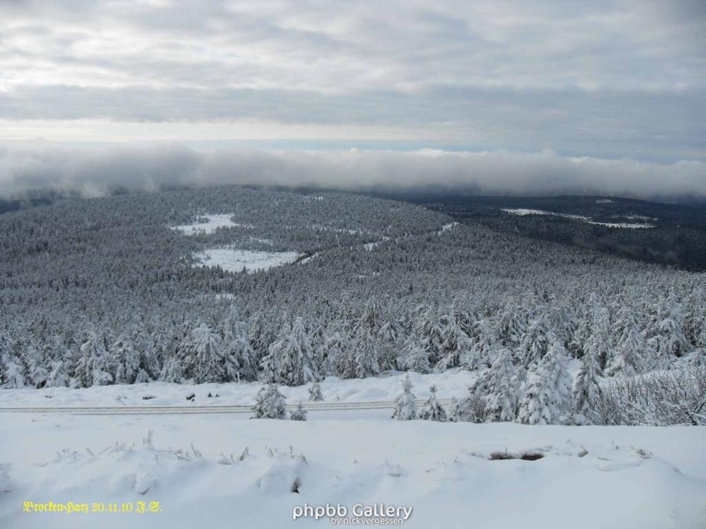 20.11.2010 Harz-Brocken (20)