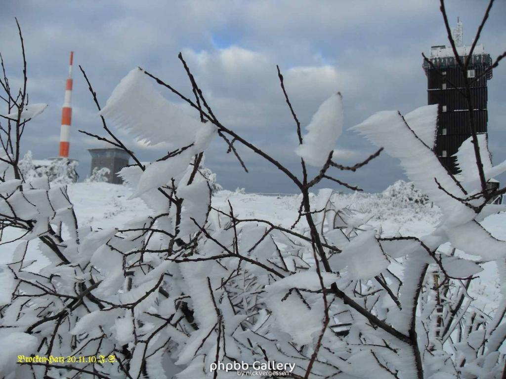 20.11.2010 Harz-Brocken (17)