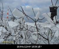 20.11.2010 Harz-Brocken (17)