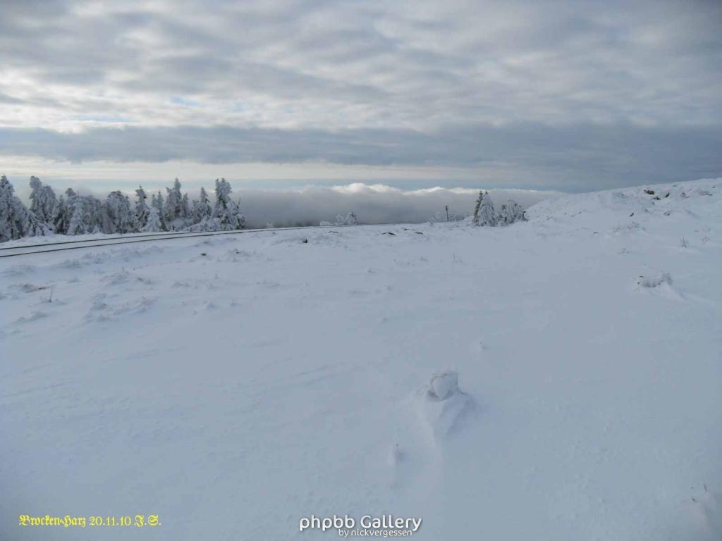 20.11.2010 Harz-Brocken (16)