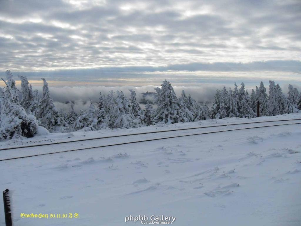 20.11.2010 Harz-Brocken (15)