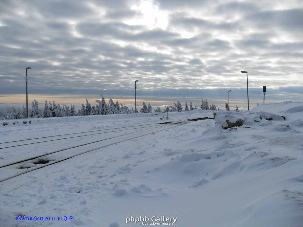 20.11.2010 Harz-Brocken (8)