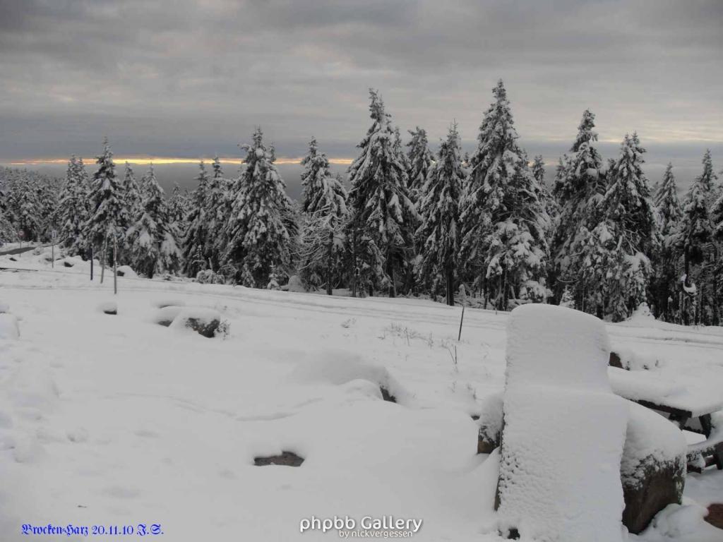 20.11.2010 Harz-Brocken (5)