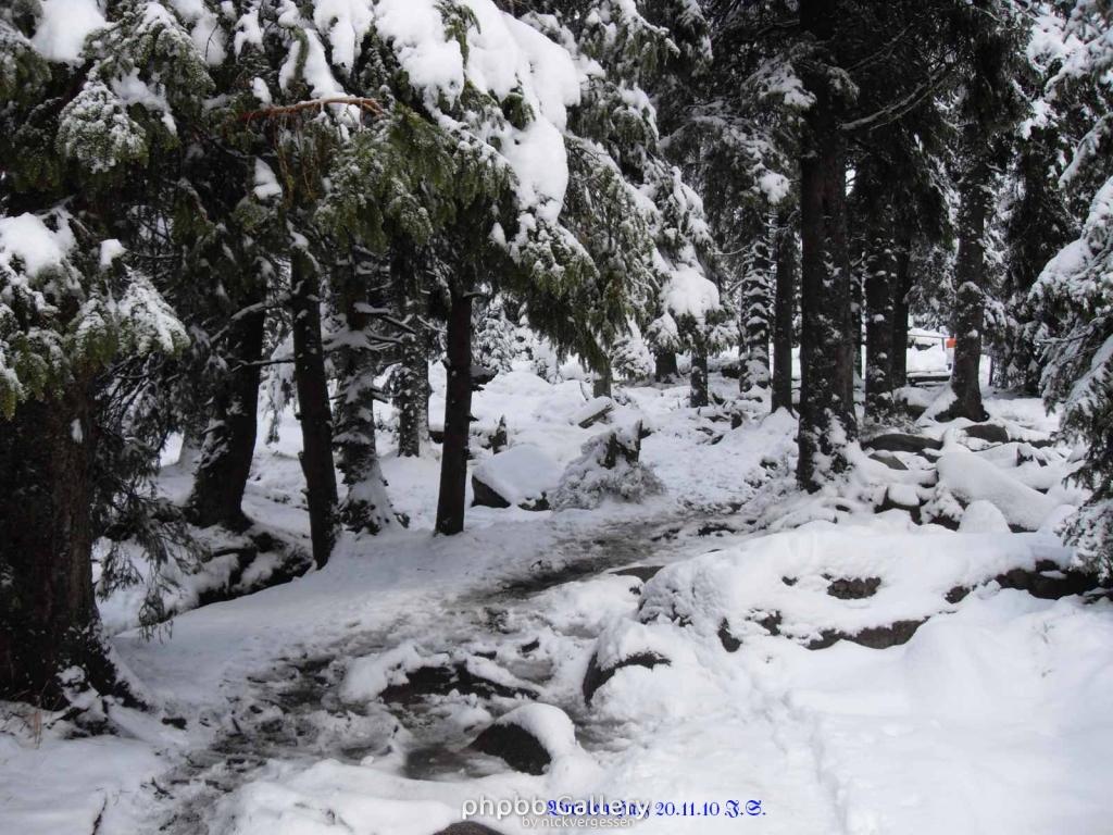 20.11.2010 Harz-Brocken (4)