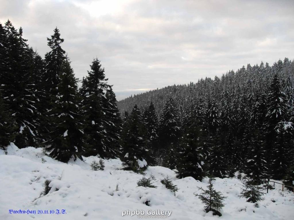 20.11.2010 Harz-Brocken (3)