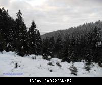 20.11.2010 Harz-Brocken (3)