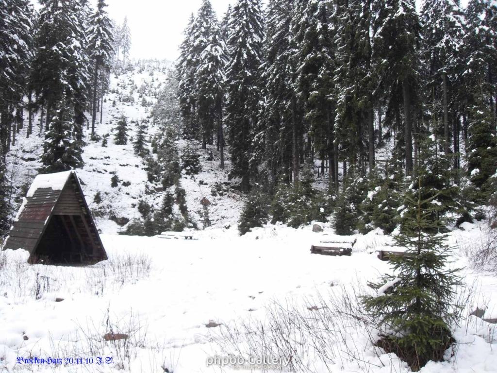 20.11.2010 Harz-Brocken (2)