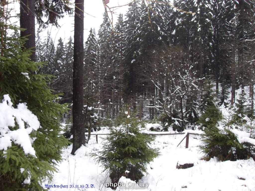 20.11.2010 Harz-Brocken (1)