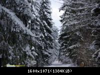 Harz 3.12.10 Bei Drei Annen Hohne (16)