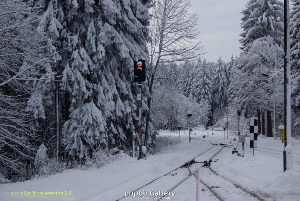 Harz 3.12.10 Bei Drei Annen Hohne (15)