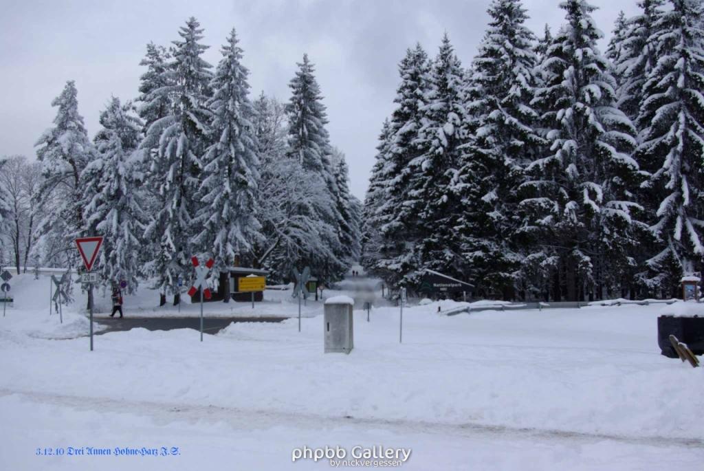 Harz 3.12.10 Bei Drei Annen Hohne