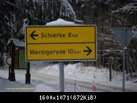 Harz 3.12.10 Bei Drei Annen Hohne (8)