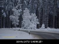 Harz 3.12.10 Bei Drei Annen Hohne (5)