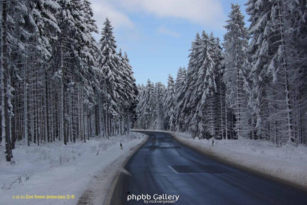 Harz 3.12.10 Bei Drei Annen Hohne (1)