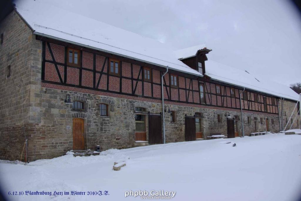 6.12.10 Winter in Blankenburg-Harz (3)