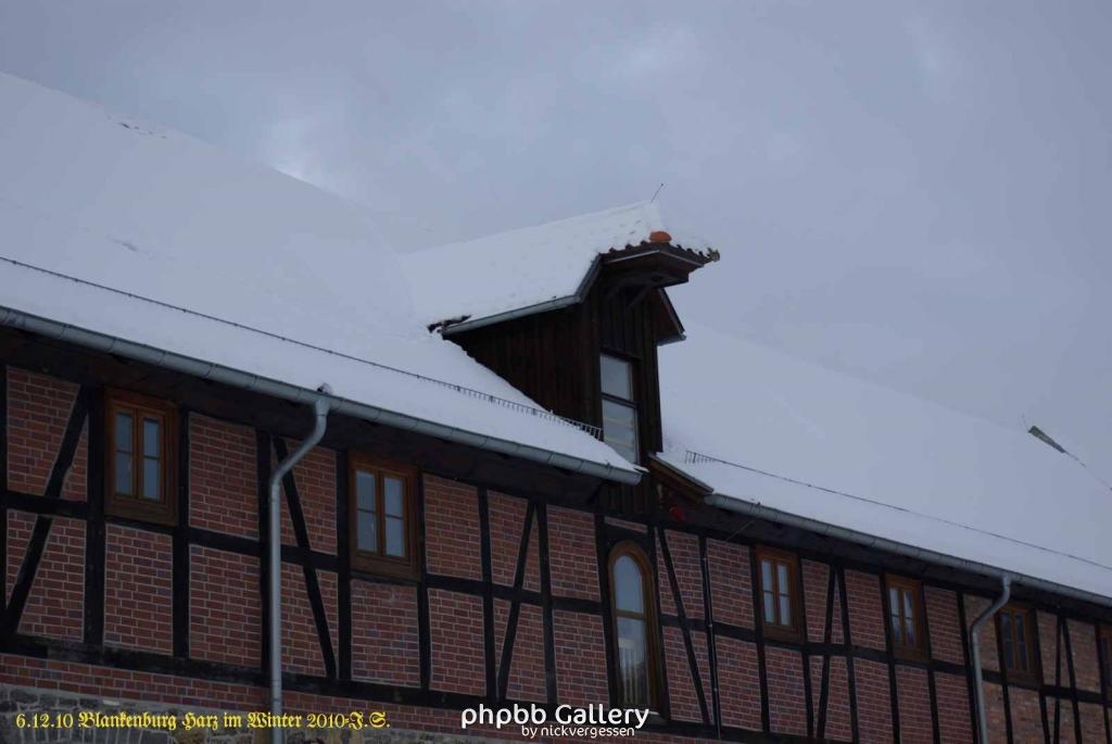 6.12.10 Winter in Blankenburg-Harz (5)