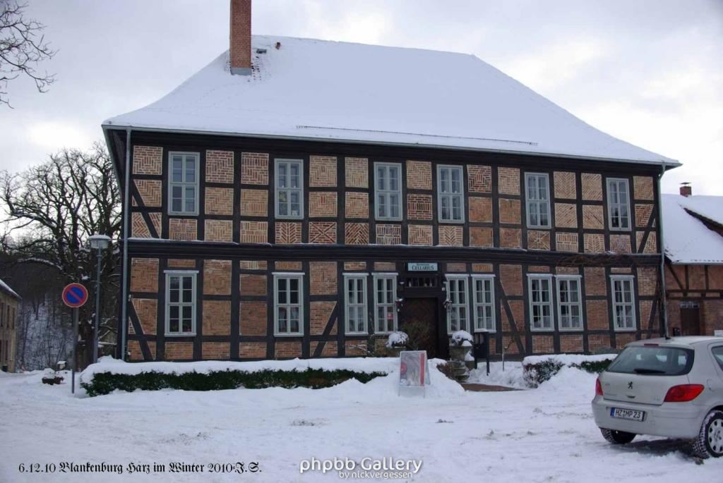 6.12.10 Winter in Blankenburg-Harz (6)