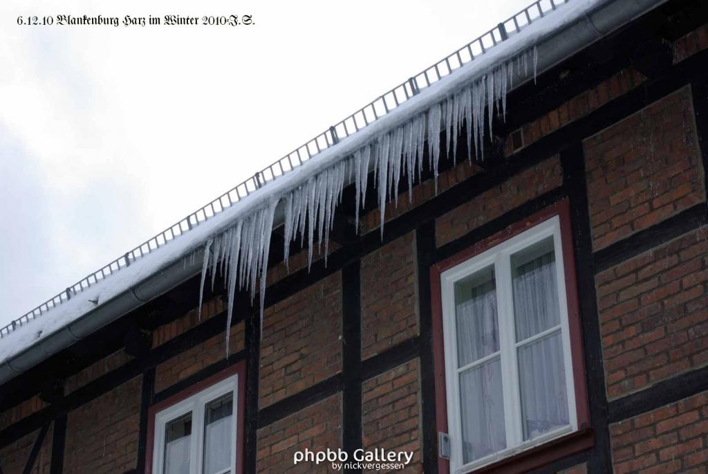 6.12.10 Winter in Blankenburg-Harz (8)