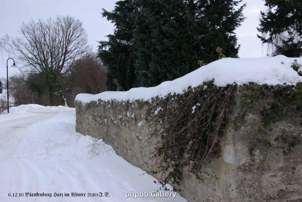 6.12.10 Winter in Blankenburg-Harz (11)