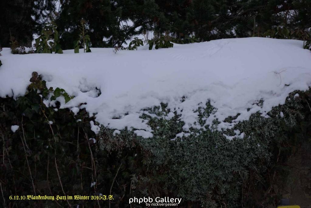 6.12.10 Winter in Blankenburg-Harz (12)