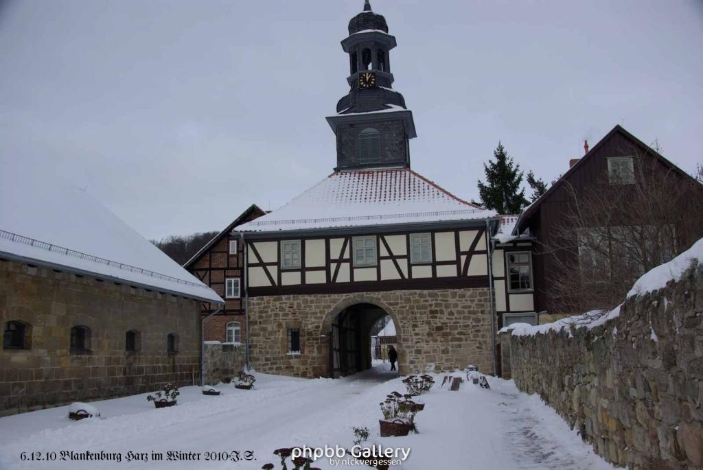 6.12.10 Winter in Blankenburg-Harz (14)